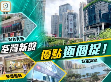 地產 買樓 樓 地產代理 新盤