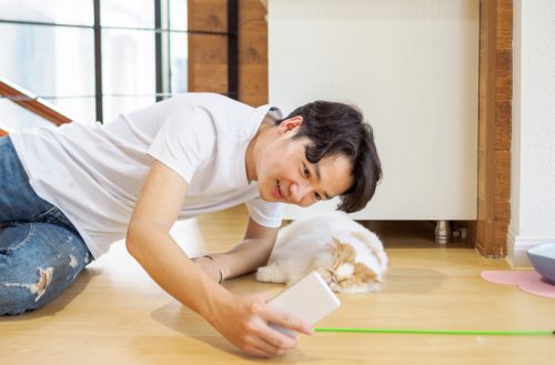 【租屋攻略2023】養寵一族租樓指南