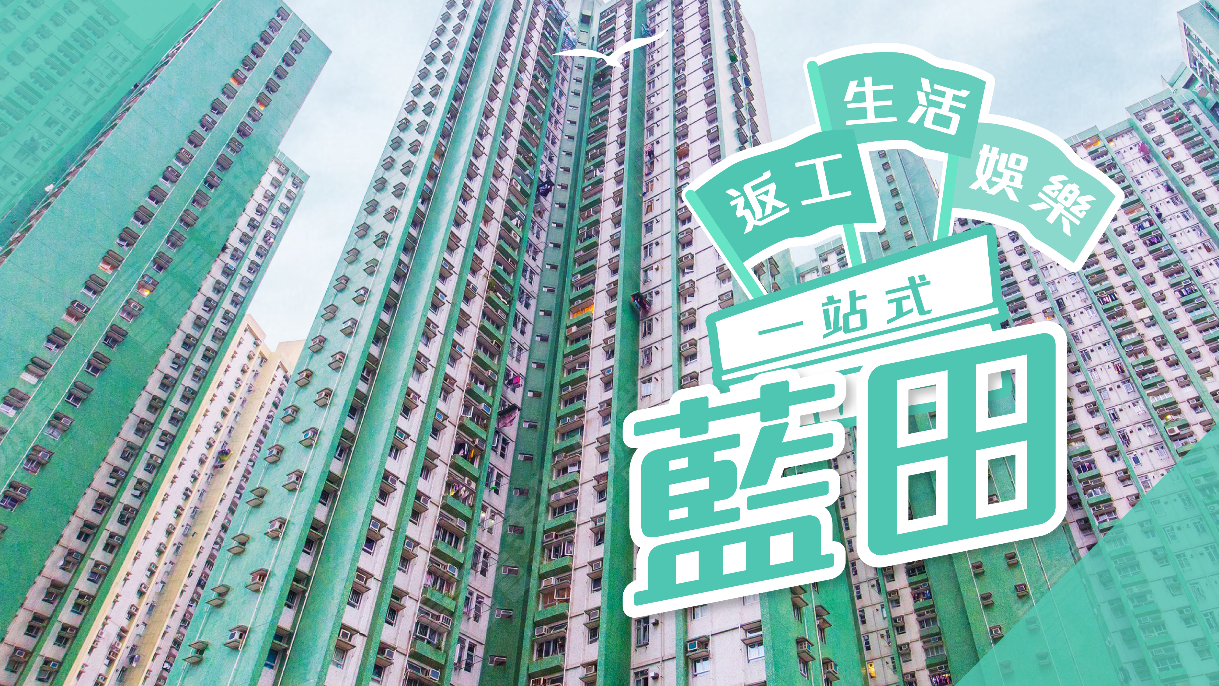【蓝田揾楼】鲤安苑．康华苑．康栢苑．返工生活娱乐一站式