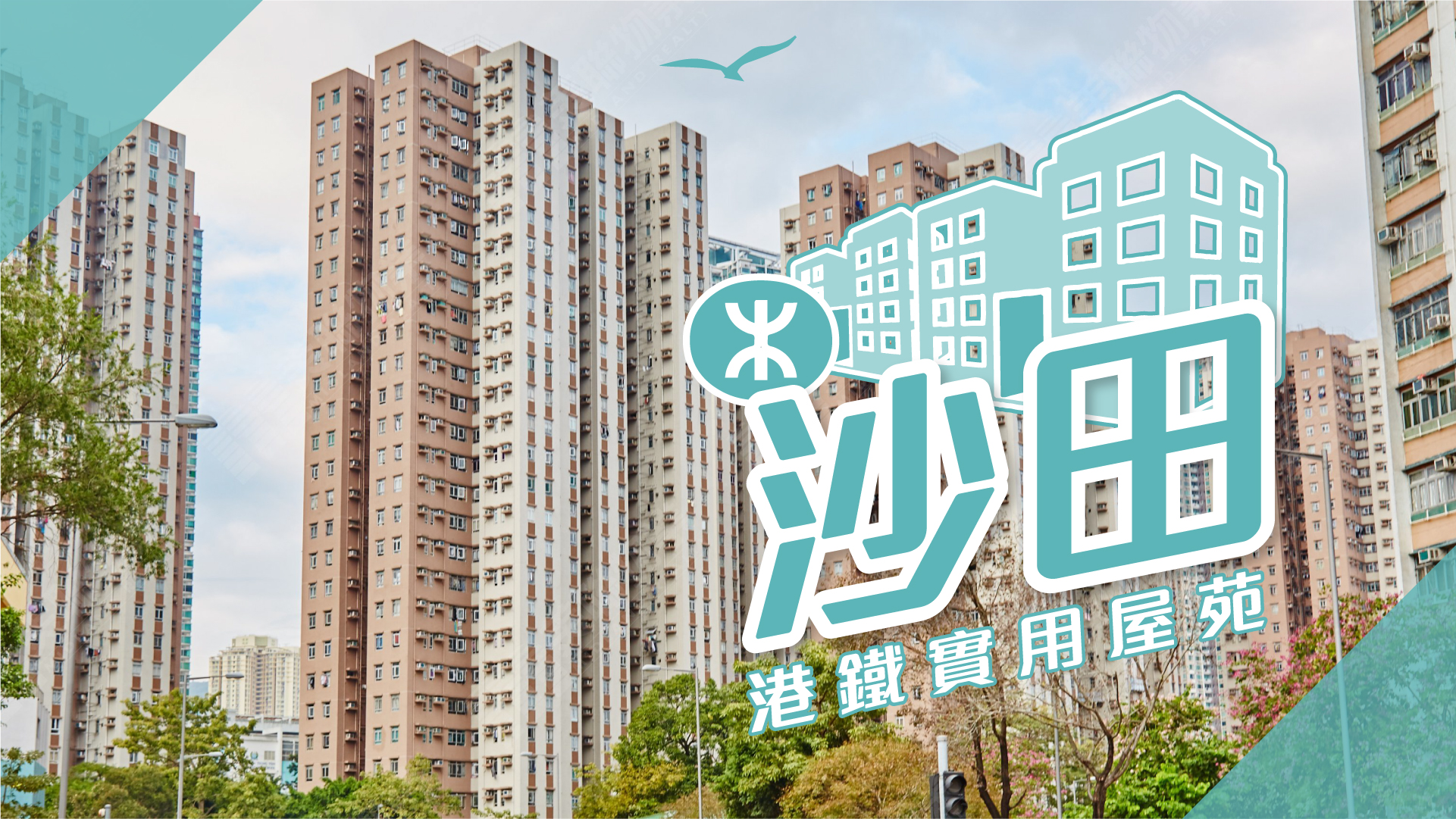 【沙田揾楼】美城苑．富嘉花园．云叠花园．港铁实用屋苑