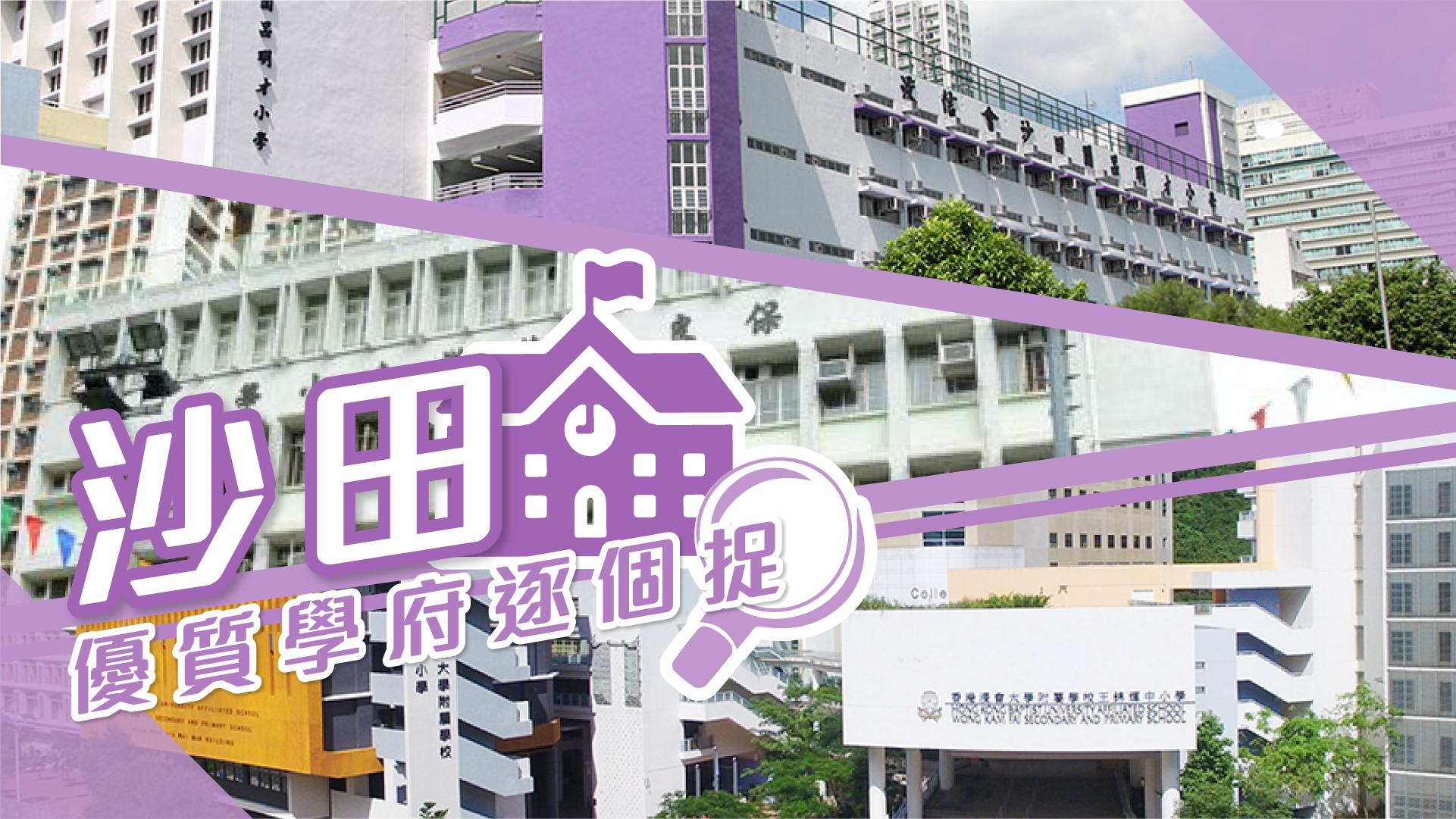 【沙田揾楼】帝堡城．花园城．田园阁．优质学府逐个捉