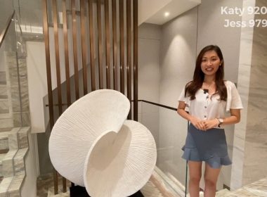 【代理Jess 及 代理Katy推介】駿嶺薈洋房及分層單位