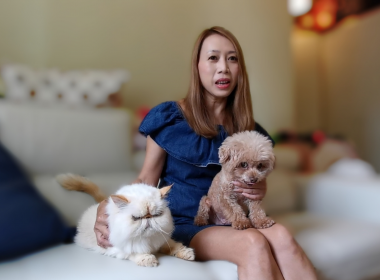 【代理Vio推介】加多利軒高層J室