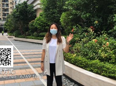 【代理Elaine推介】逸峯第三座高層D室