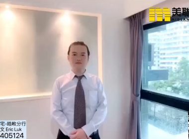 【代理Eric推介】太平居低層A室