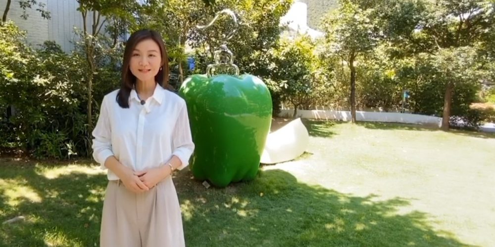 【代理Fiona推介】傲瀧特色單位連戶外花園