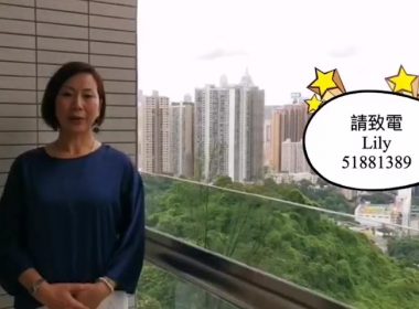 【代理Lily推介】嘉雲臺1座低層B室