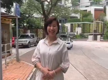 【代理Lily推介】豐景台D座D1室