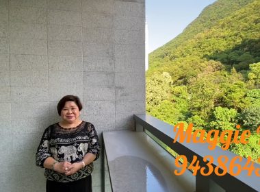 【代理Maggie推介】璈珀中層D室