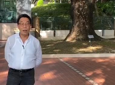 【代理Nike推介】奕翠園7座中層F室