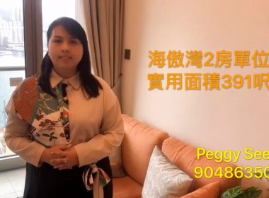 【代理Peggy推介】海傲灣兩房單位