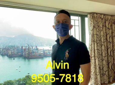 【代理Alvin推介】維港灣08座低層B室