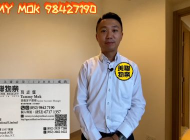 【代理Tommy推介】迎海四期8座低層D室