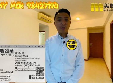 【代理Tommy推介】銀湖天峰1座低層F室