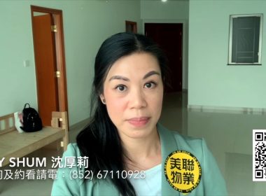 【代理Lily推介】擎天半島2期1座高層B室