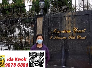 【代理Ida推介】文豪閣A座高層D室