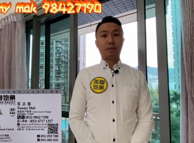 【代理Tommy推介】嵐岸7座中層A室