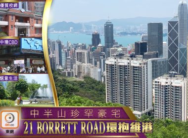 波老道21號撻訂