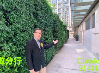 【代理Claude推介】One Homantin 1座低層G室