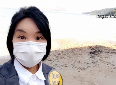 【代理Maybo推介】泰湖別墅〈獨立屋〉