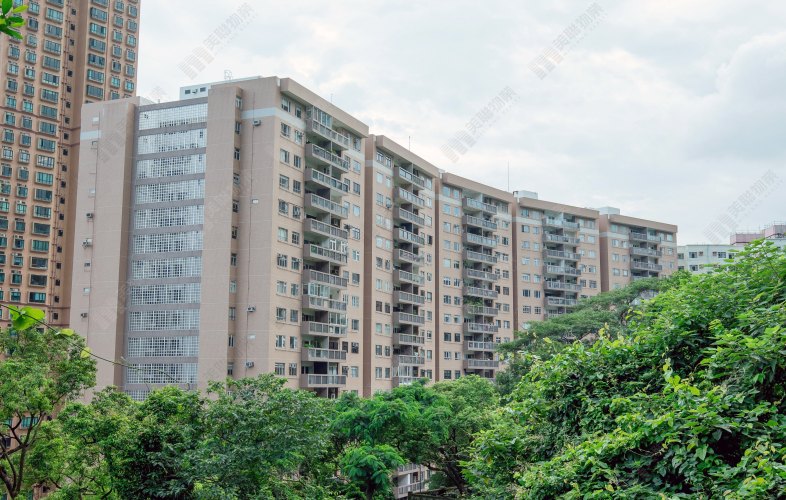 西半山聯邦花園1,166實呎戶  換樓客2,610萬元入市 2018年貨升值近1成