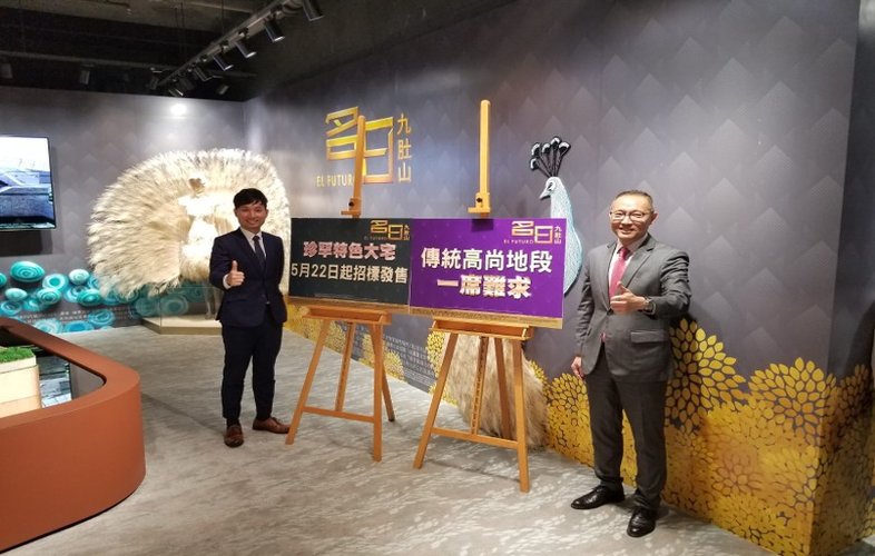 名日‧九肚山获满意纸　下周一招标发售20伙