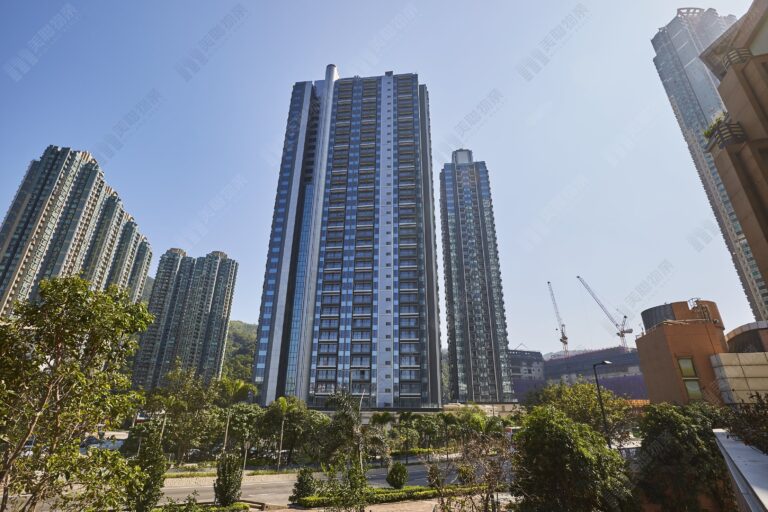 將軍澳租務市場盛夏狂熱 7月成交量飆升4成 康城站獨領風騷 單月租務破300宗  學生及續租需求撐市