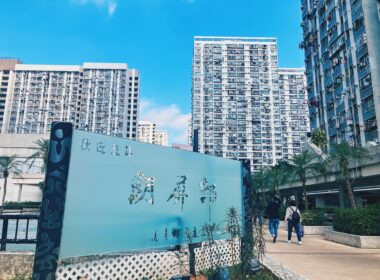 【香港公屋】元朗朗屏邨 天橋之邨初育成