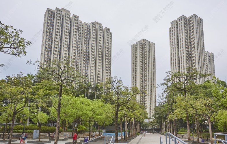 息口回落 決心入市 首置客斥352萬元於自由市場購入大埔廣場370實呎戶