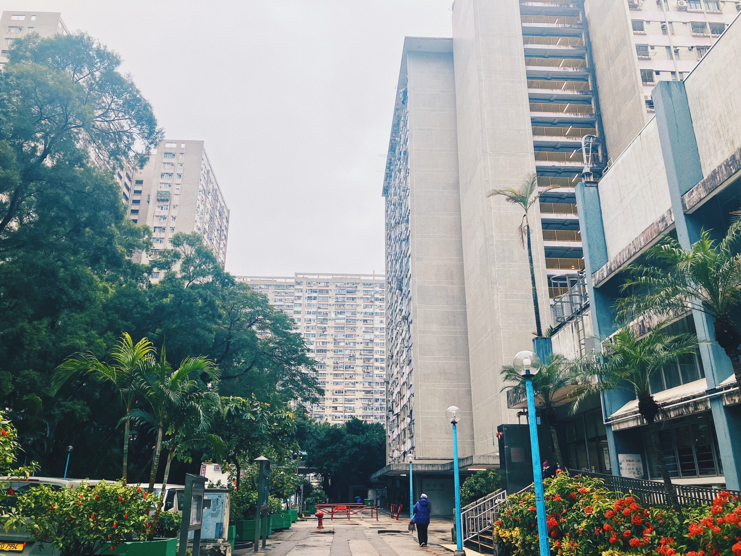 【香港公屋】沙田博康邨之探索：特色商場、水池與風情街市