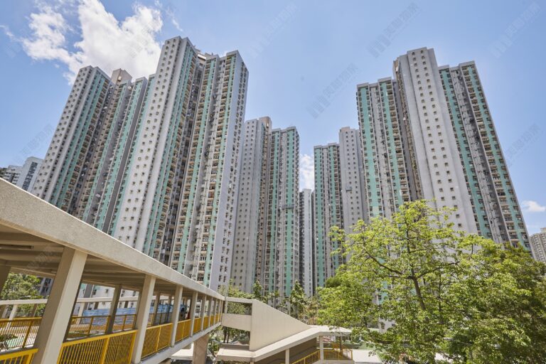 公屋富戶客鍾情大埔居屋怡雅苑兩房戶 即睇即買 綠表價270萬元成交 32年貨升值約4.6倍