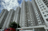 免補地價出租居屋